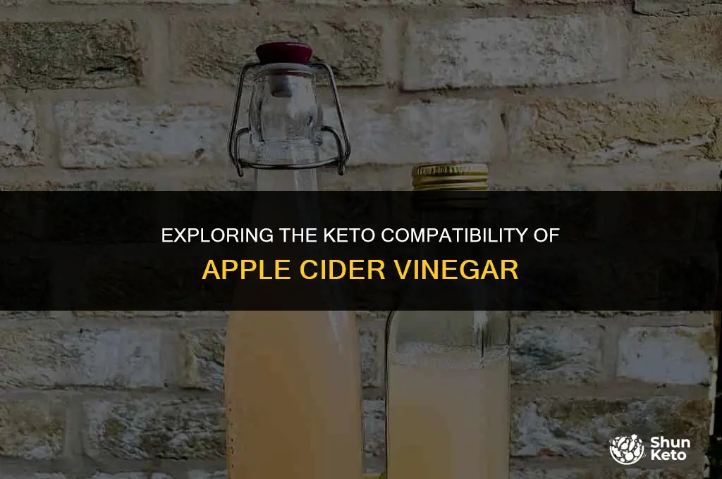 is apple vinegar keto friendly