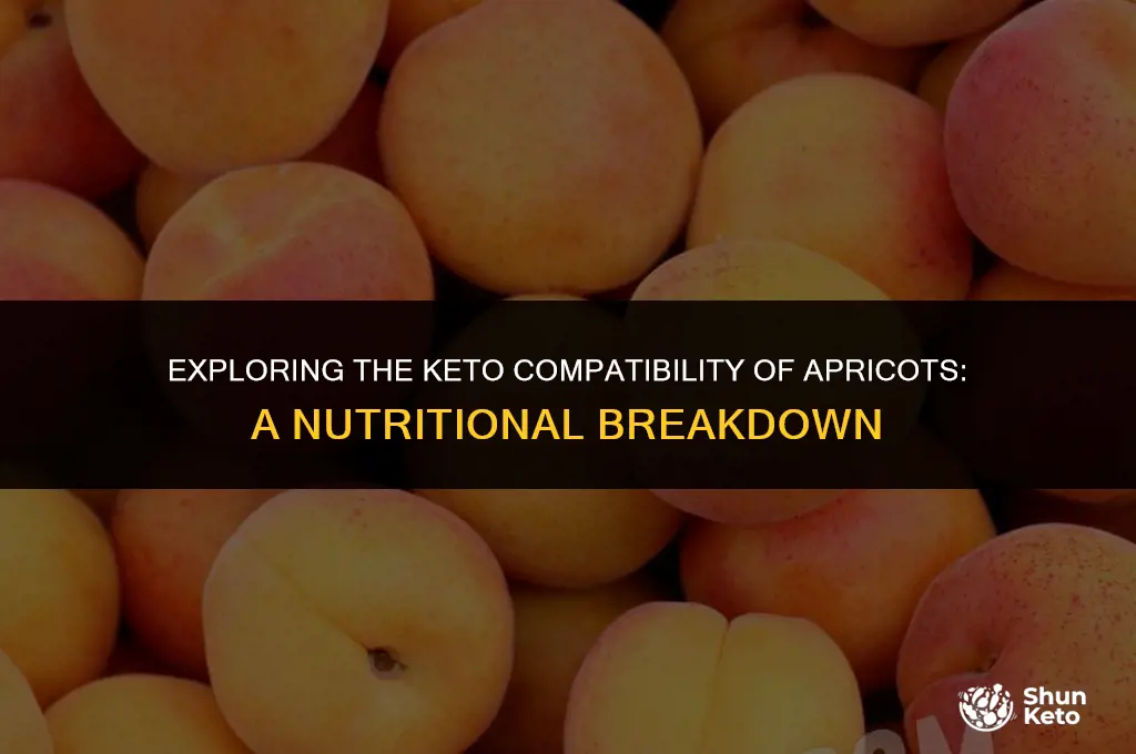 is apricot keto friendly