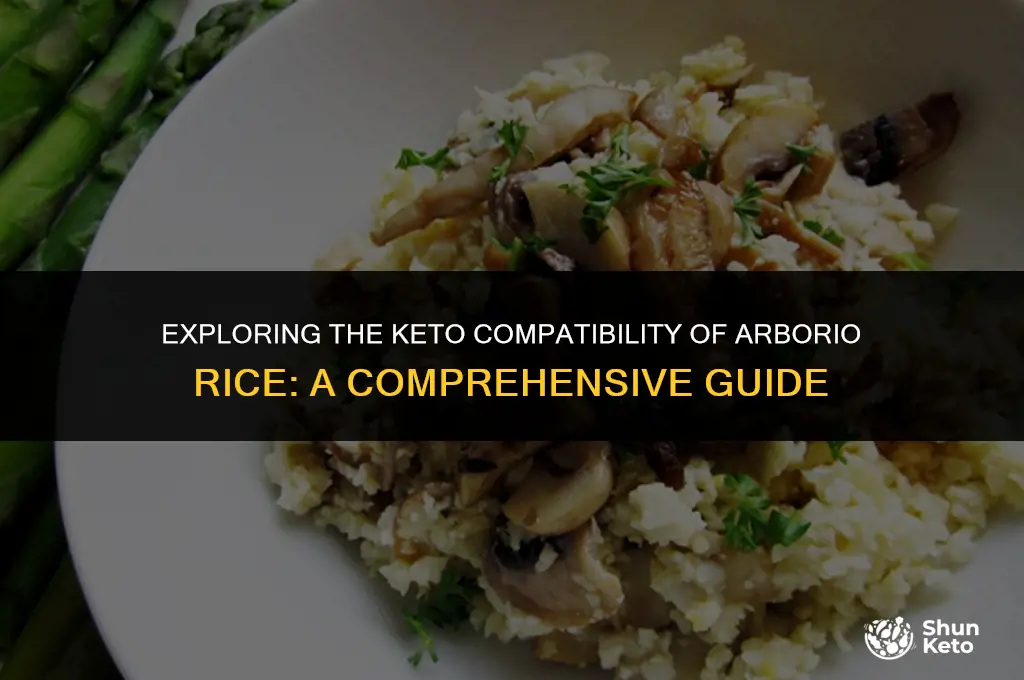 is arborio rice keto