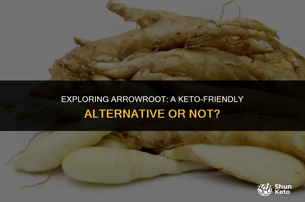 is arrowroot a keto