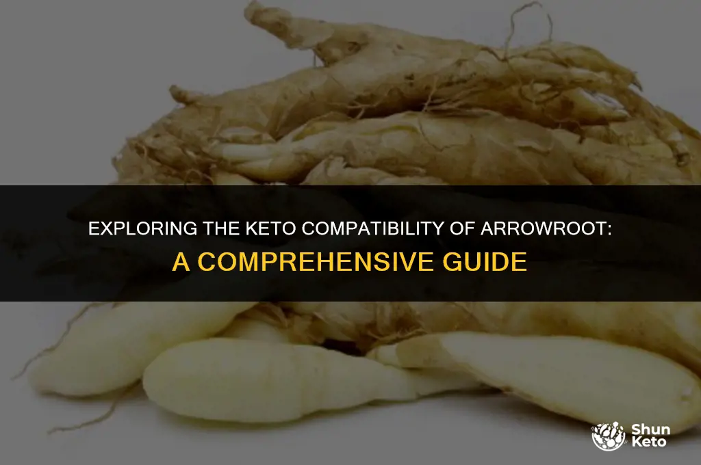 is arrowroot keto-friendly