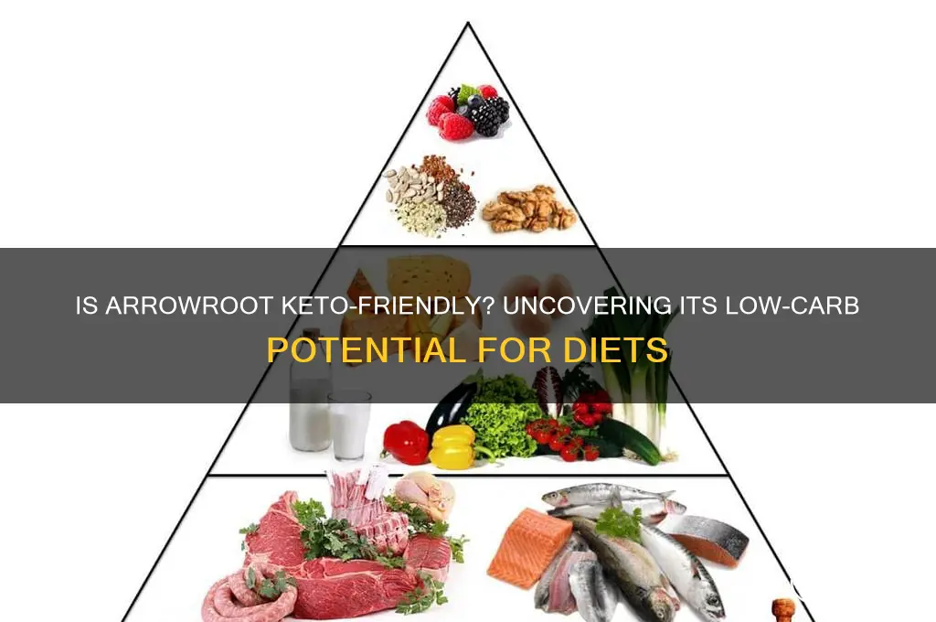 is arrowroot keto