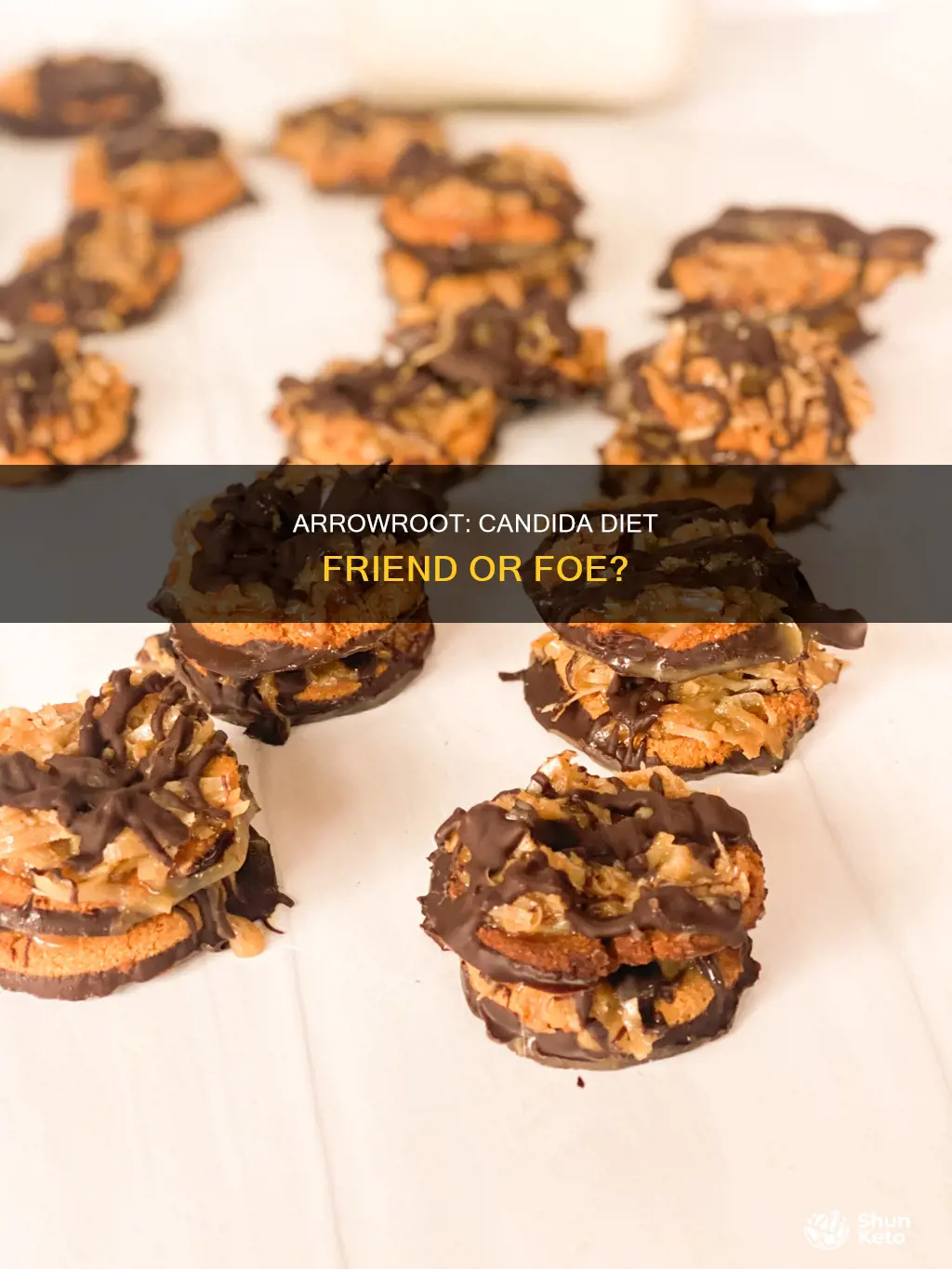 is arrowroot ok for candida diet