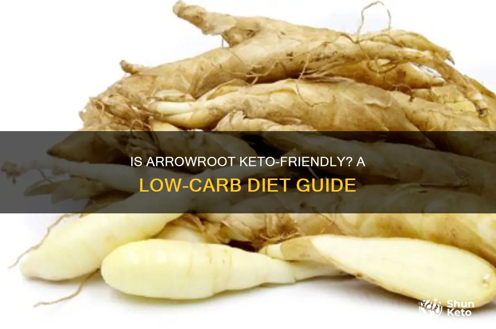 is arrowroot ok on keto diet