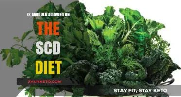 Arugula on the SCD Diet: Is It Safe?