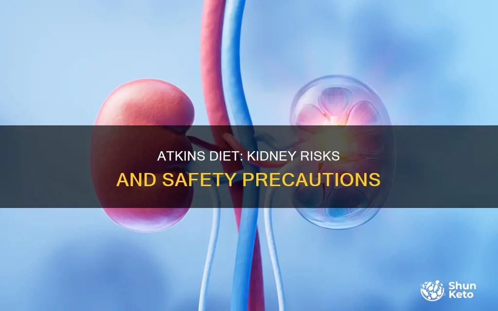 is atkins diet safe for kidneys