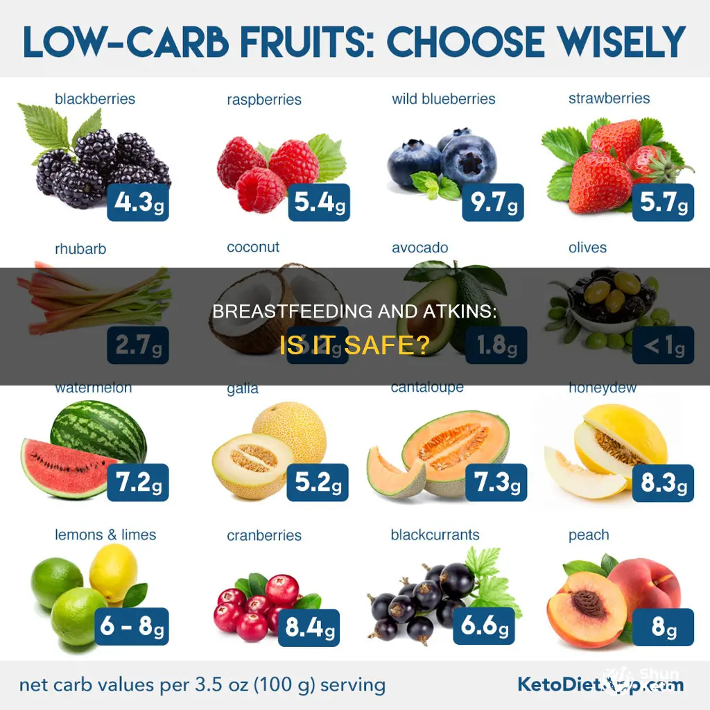is atkins diet safe while breastfeeding