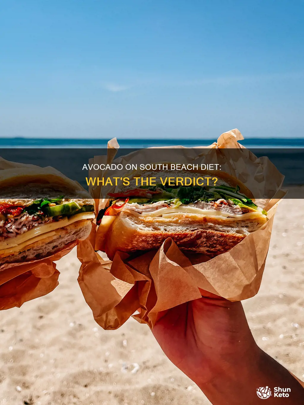 is avocado allowed on south beach diet