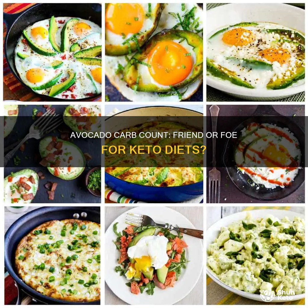 is avocado included in carb count keto