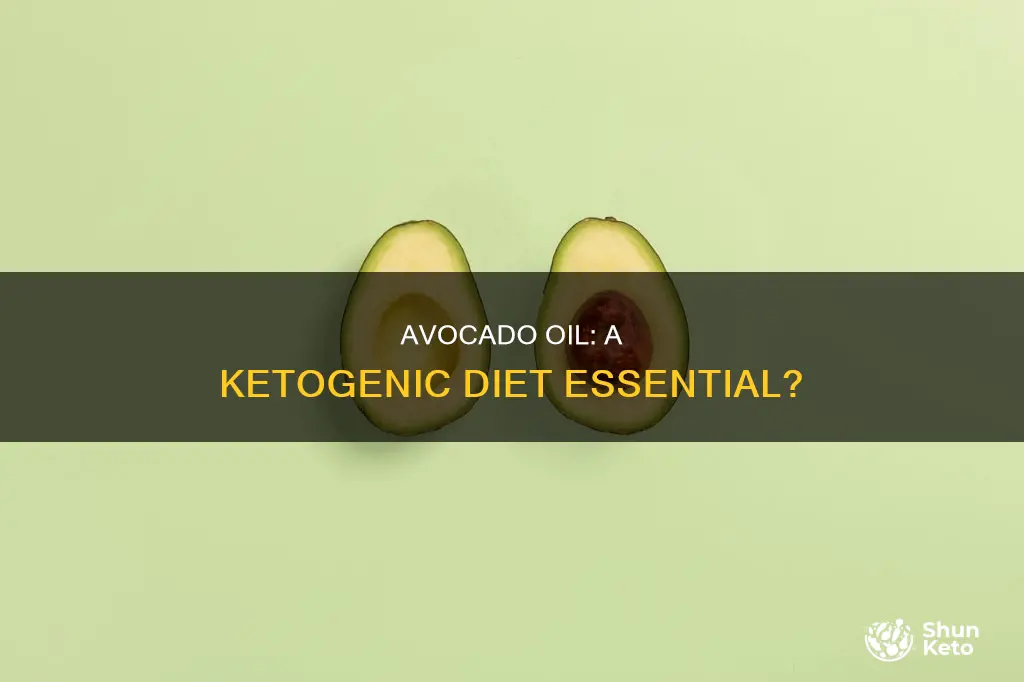 is avocado oil allowed on the ketogenic diet