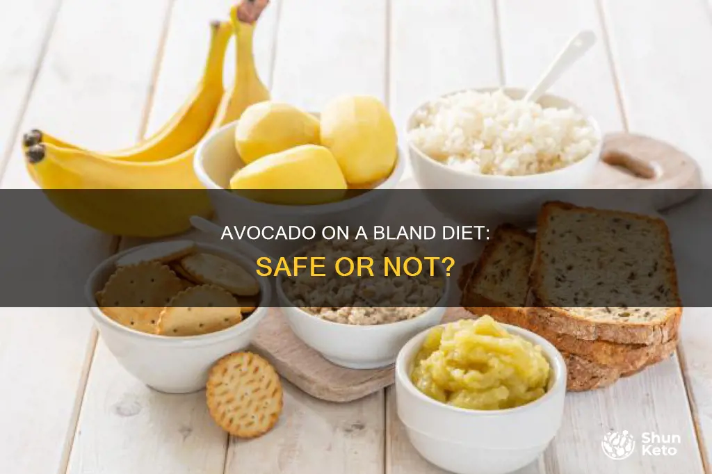 is avocado ok for bland diet