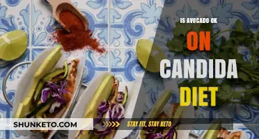 Avocado Benefits: Friend or Foe on Candida Diet?