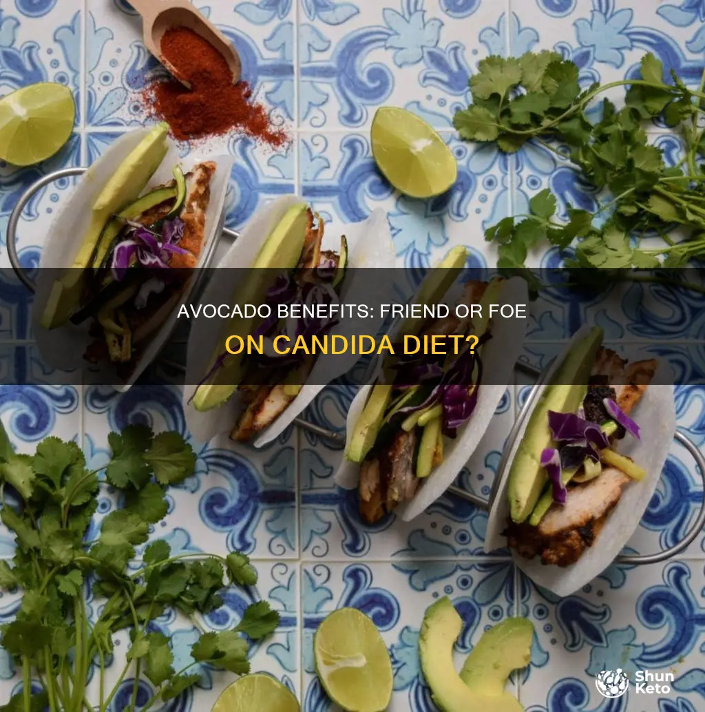 is avocado ok on candida diet