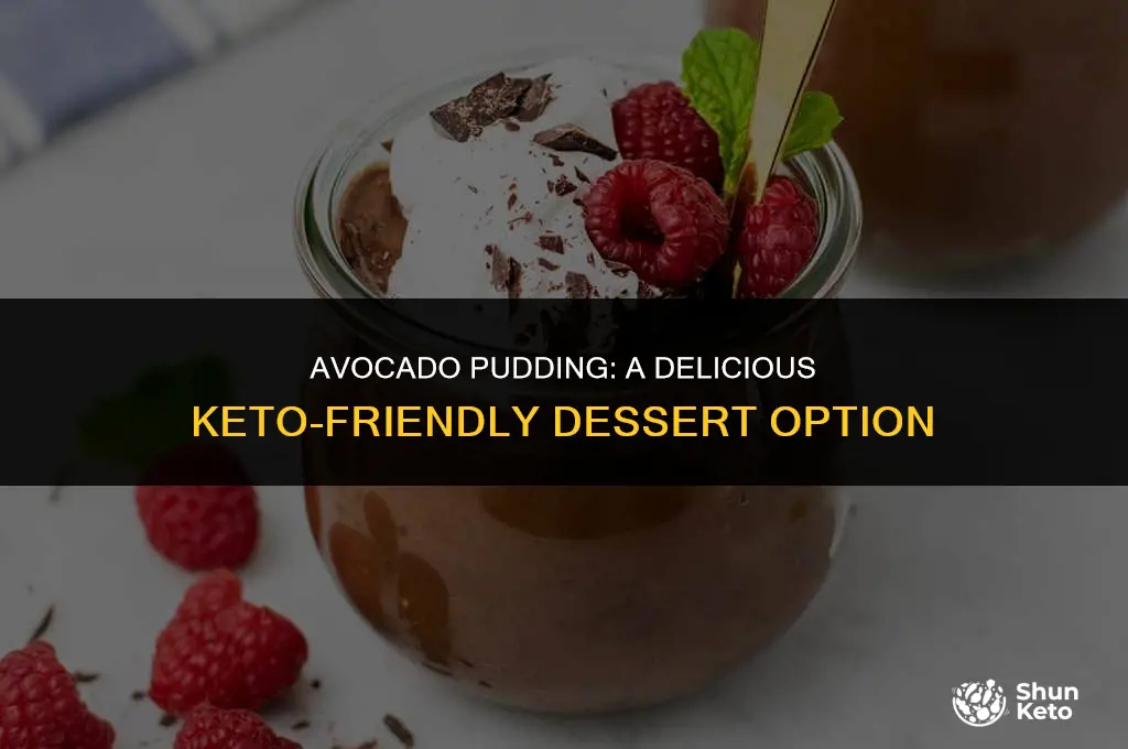 is avocado pudding keto friendly