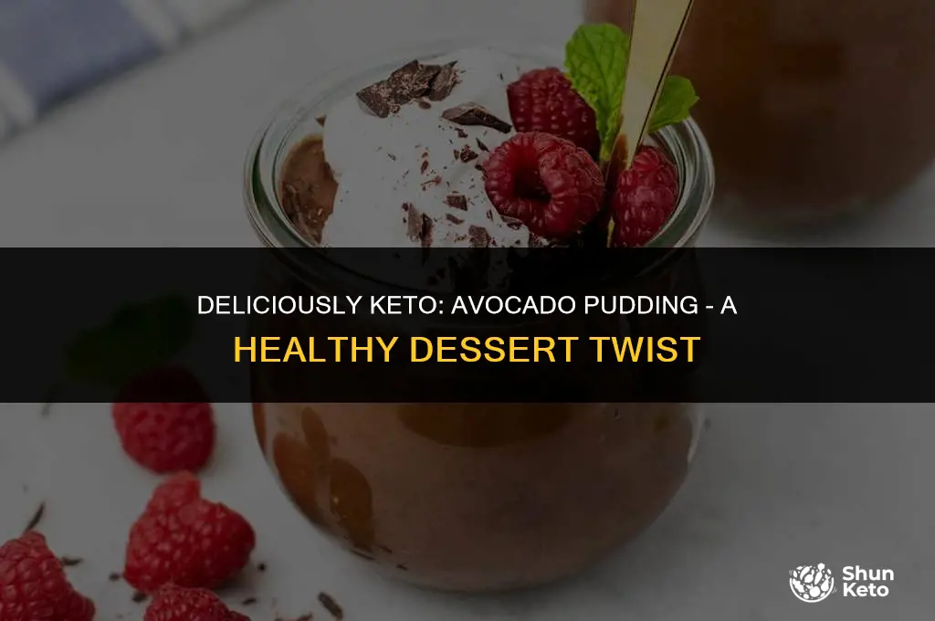 is avocado pudding keto
