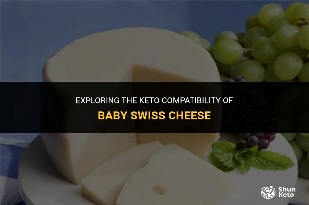 is baby swiss cheese keto friendly