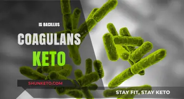 Exploring Bacillus Coagulans: A Keto-Friendly Probiotic?