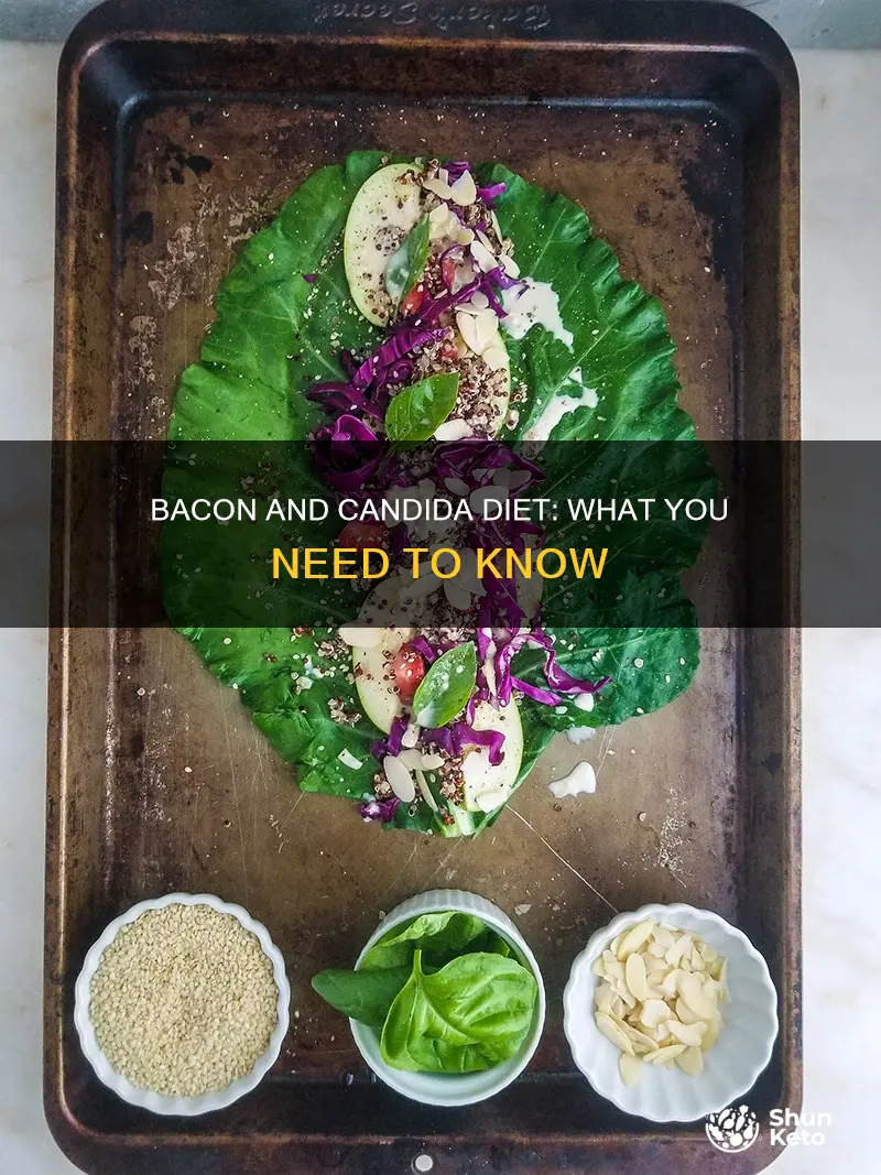 is bacon allowed on candida diet