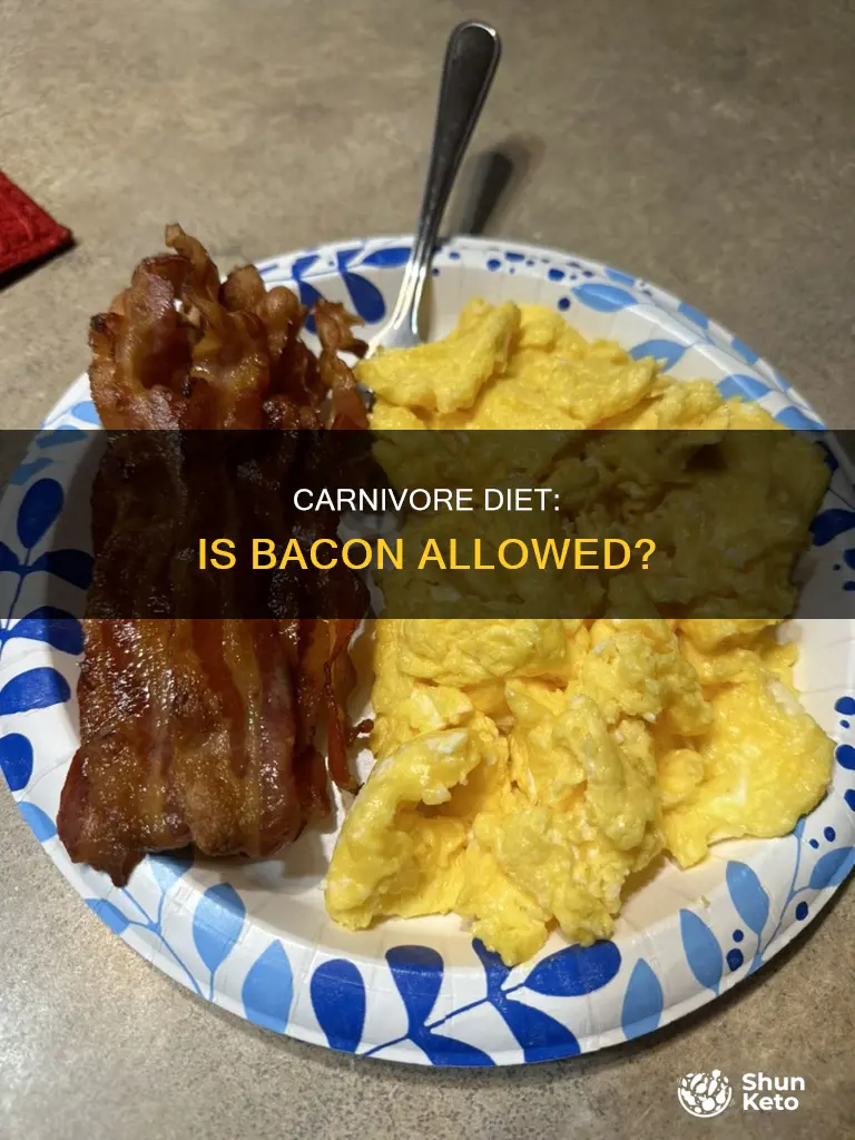 is bacon allowed on carnivore diet