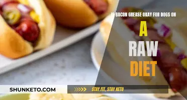 Bacon Grease: Safe Treat or Raw Diet Risk for Dogs?