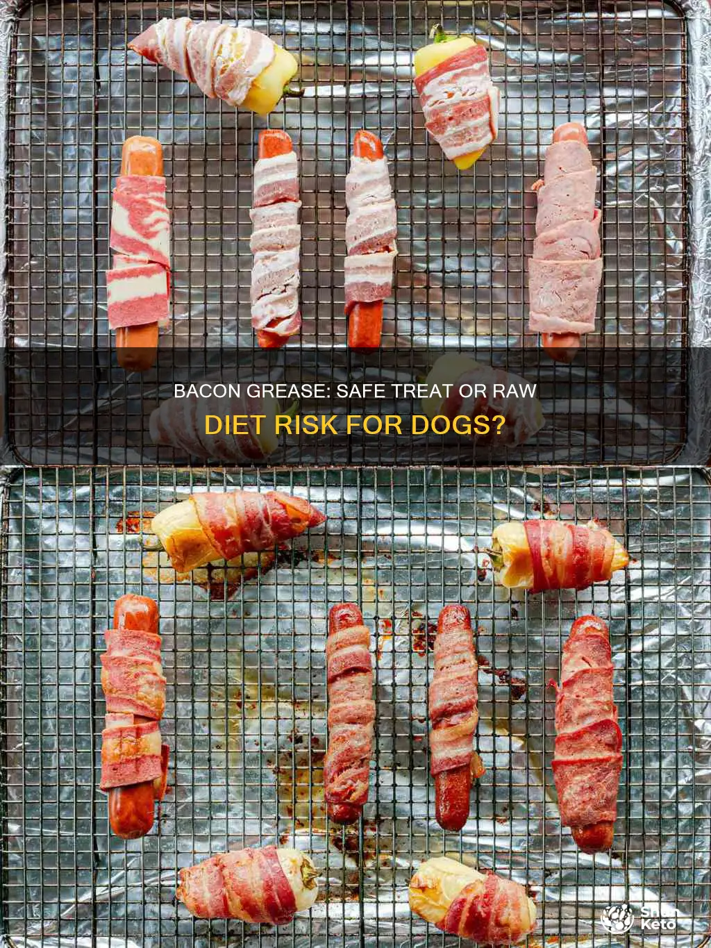 is bacon grease okay for dogs on a raw diet