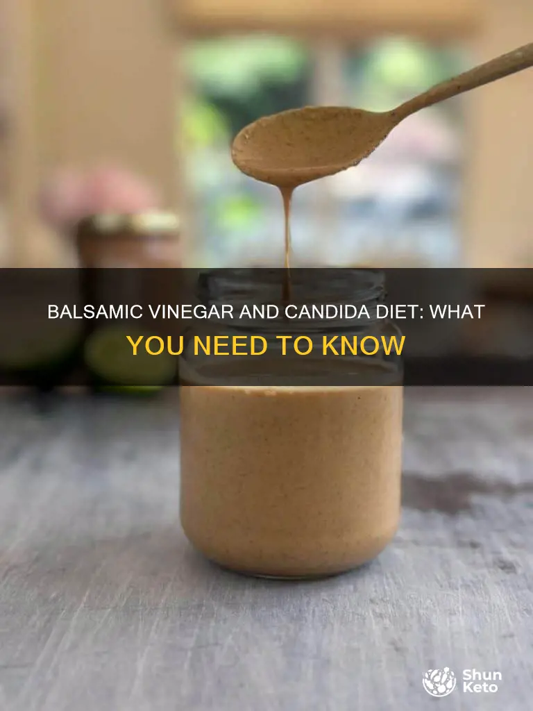 is balsamic vinegar allowed on candida diet