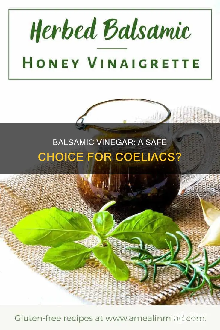 is balsamic vinegar ok for a ceiliac diet