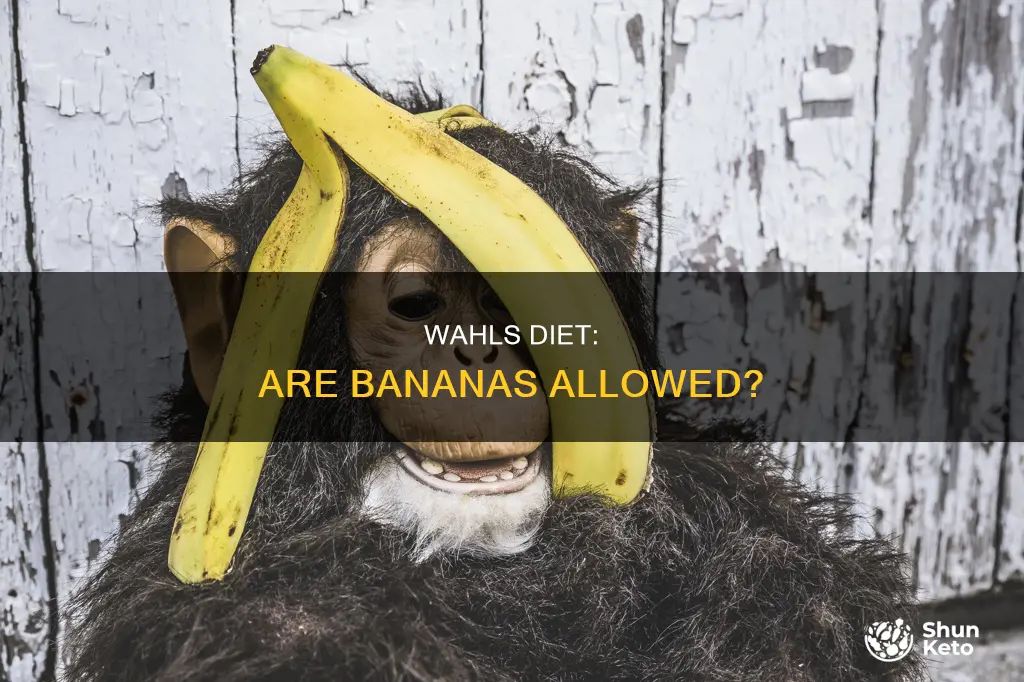 is bananna allowed on wahls diet