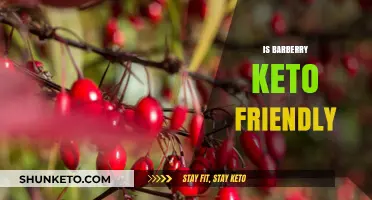 Exploring the Keto Compatibility of Barberry: A Comprehensive Guide