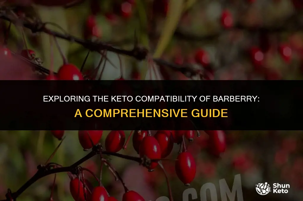 is barberry keto friendly