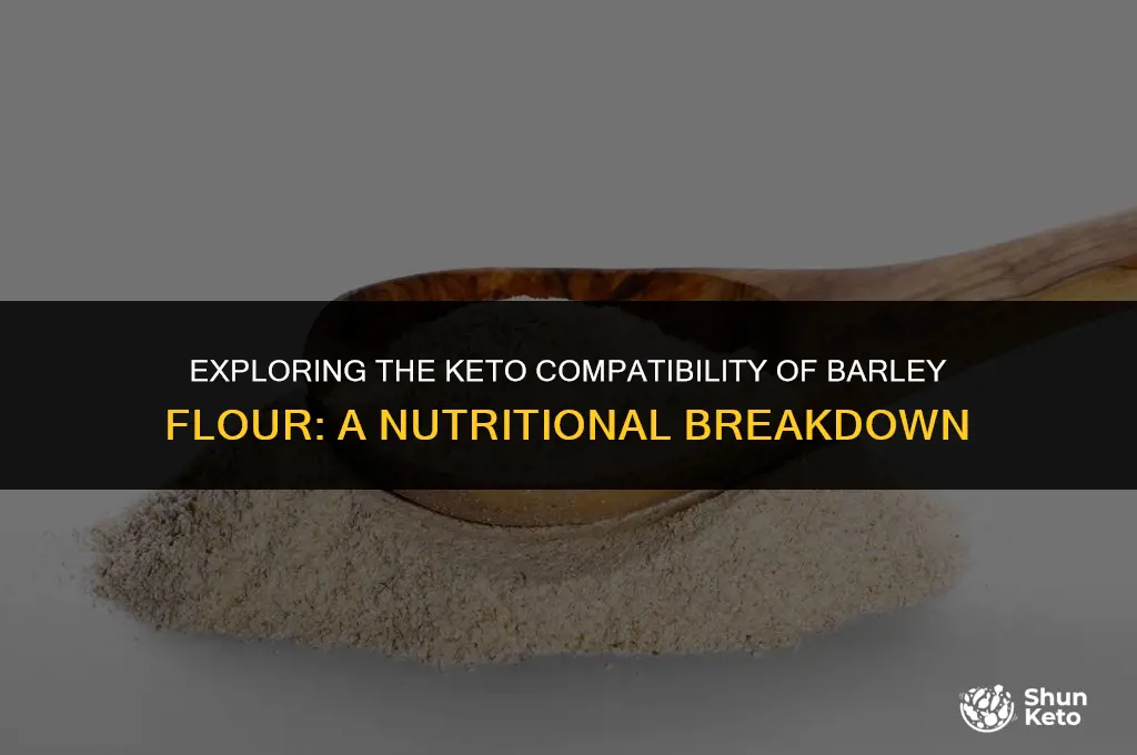 is barley flour keto friendly