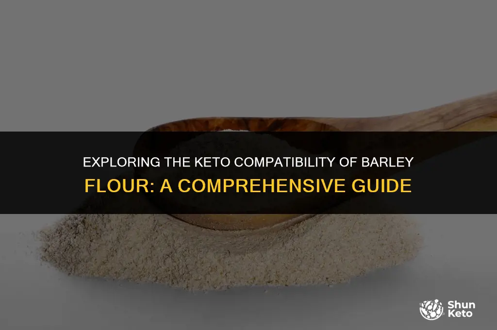 is barley flour keto