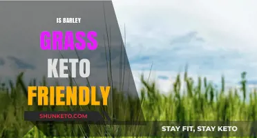 Exploring the Keto Compatibility of Barley Grass: A Nutritional Insight