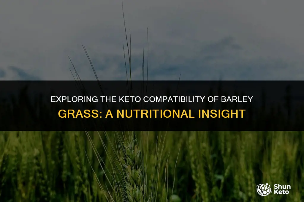 is barley grass keto friendly