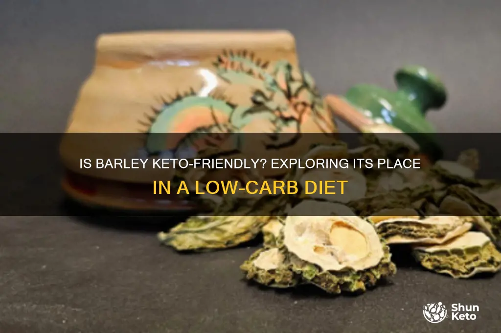 is barley keto