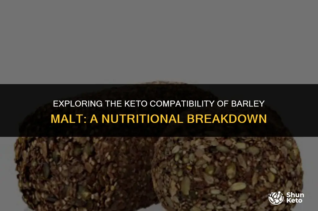 is barley malt keto friendly
