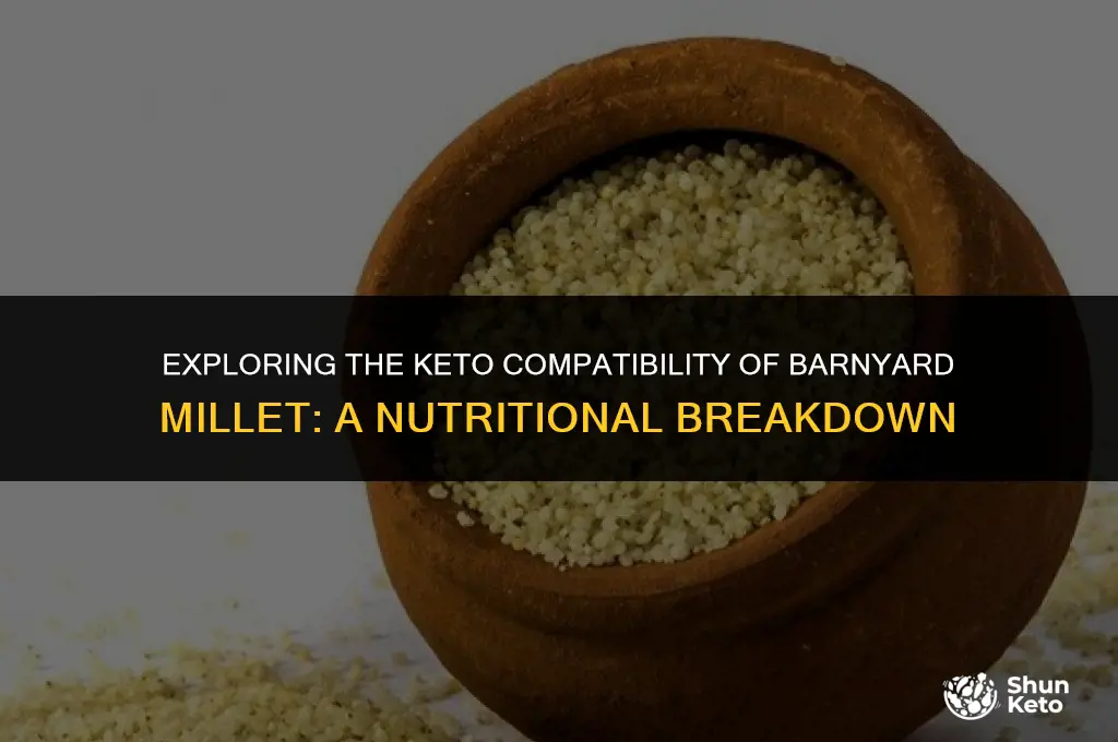 is barnyard millet keto friendly