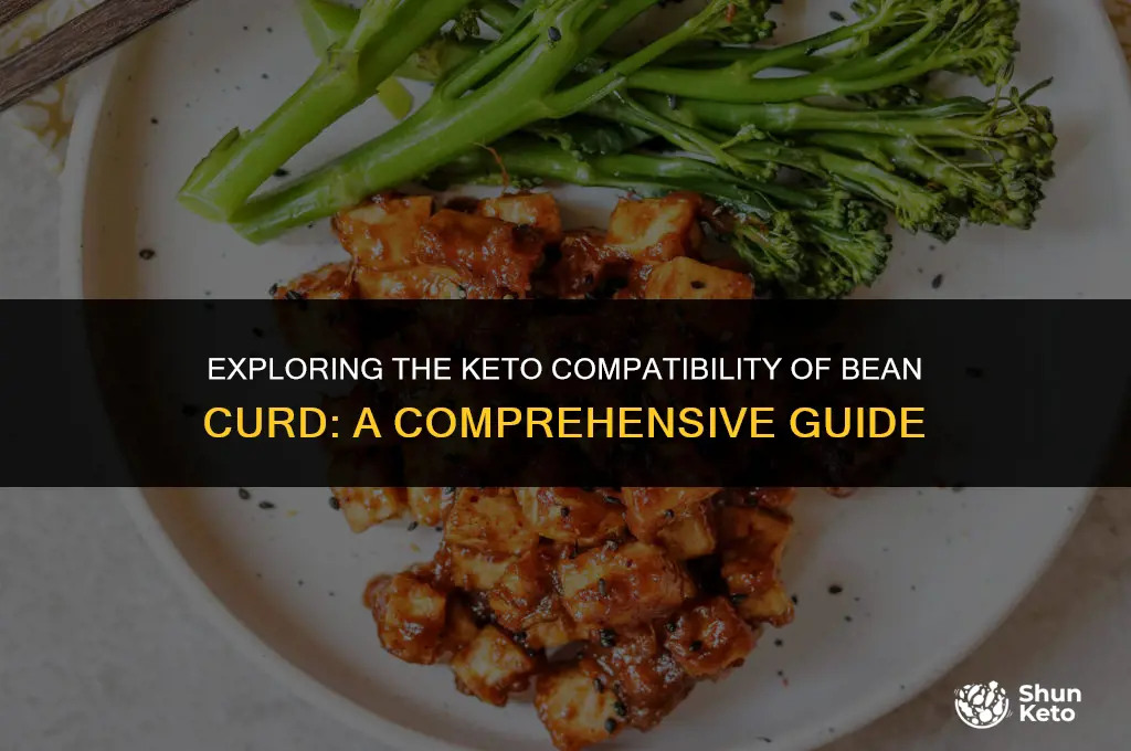 is bean curd keto friendly