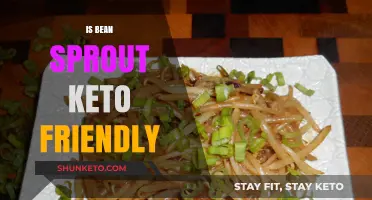 Exploring the Keto Compatibility of Bean Sprouts: A Nutritional Insight