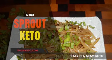 Exploring the Keto-Friendly Potential of Bean Sprouts: A Nutritional Guide