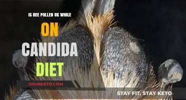 Bee Pollen and Candida Diet: Safe or Not?
