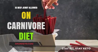 Beef Jerky on Carnivore Diet: Yay or Nay?