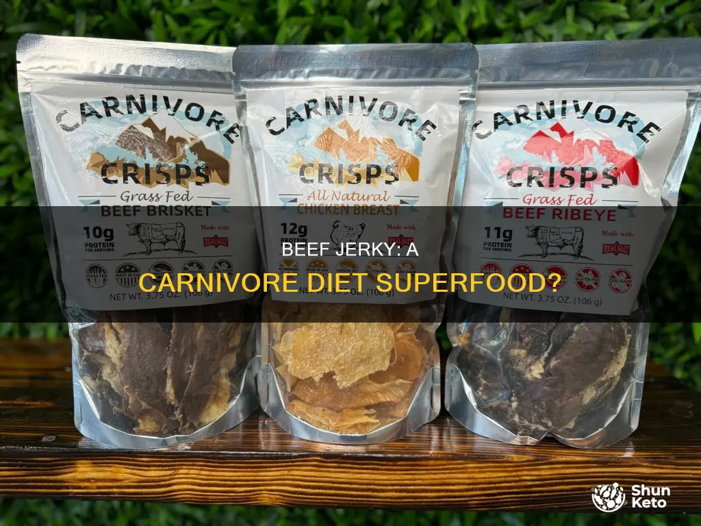 is beef jerky ok on carnivore diet