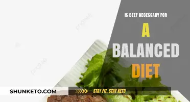 Beef and Balanced Diets: Is It Necessary?