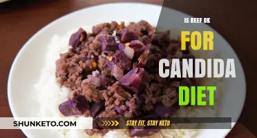 Can You Eat Beef on a Candida Diet?