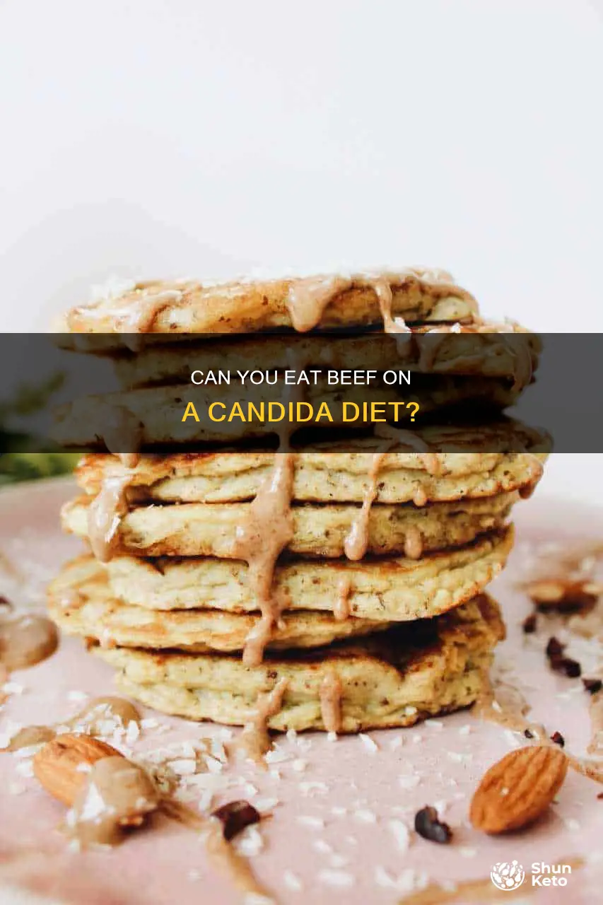 is beef ok for candida diet