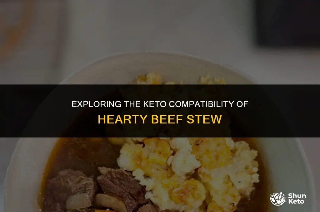is beef stew keto friendly