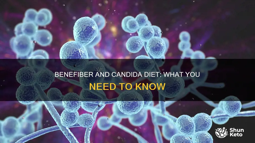 is benefiber ok on candida diet