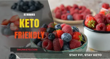 Berry Bliss on Keto: Nature's Sweet Treats for Low-Carb Diets