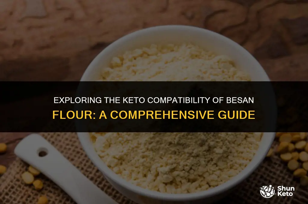 is besan flour keto friendly
